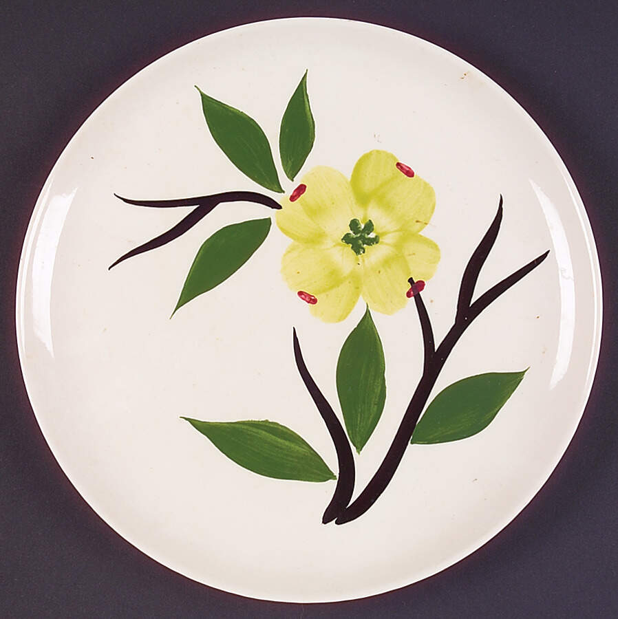 Dixie Dogwood Dinner Plate by Blue Ridge Southern Pottery-1