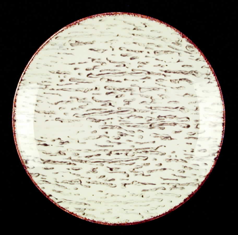 BRP31 Dinner Plate by Blue Ridge Southern Pottery-1