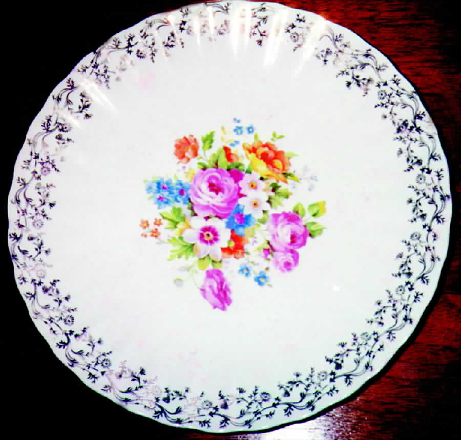 BRP37 Dinner Plate by Blue Ridge Southern Pottery-1