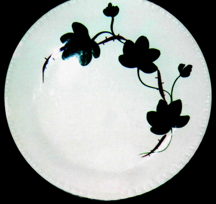BRP44 Dinner Plate by Blue Ridge Southern Pottery-1