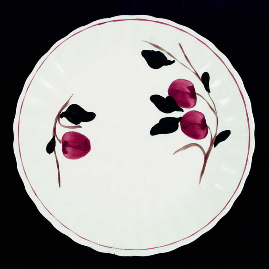BRP45 Dinner Plate by Blue Ridge Southern Pottery-1