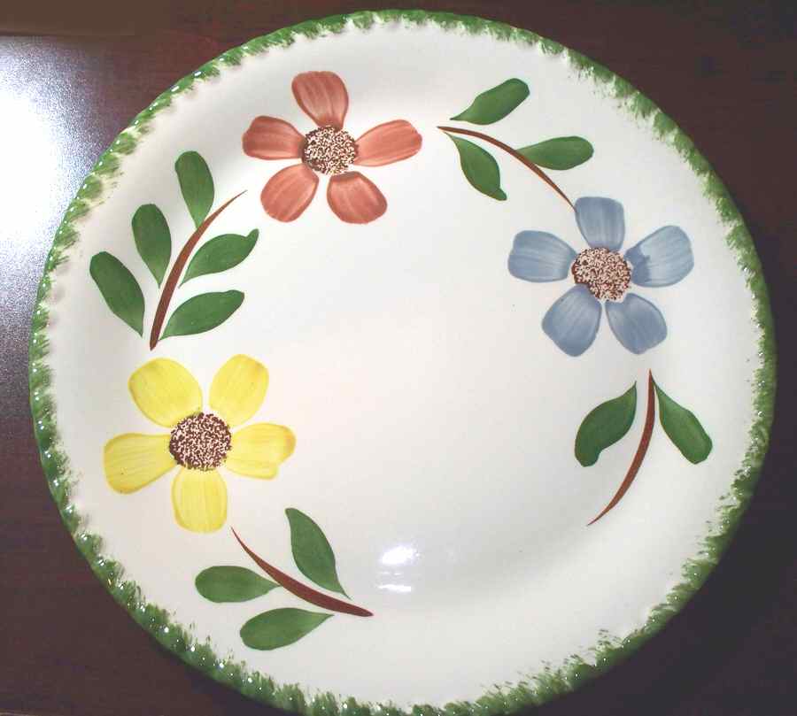 Brunswick Dinner Plate by Blue Ridge Southern Pottery-1