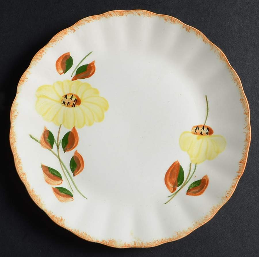 Country Road Dessert/Pie Plate by Blue Ridge Southern Pottery-1