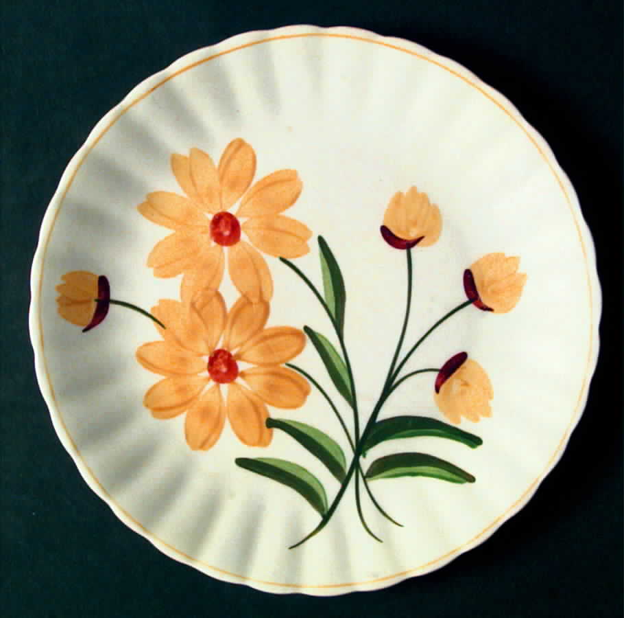 Coreopsis Salad Plate by Blue Ridge Southern Pottery-1