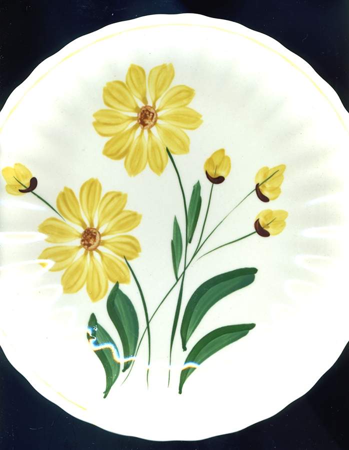 Coreopsis Dinner Plate by Blue Ridge Southern Pottery-1