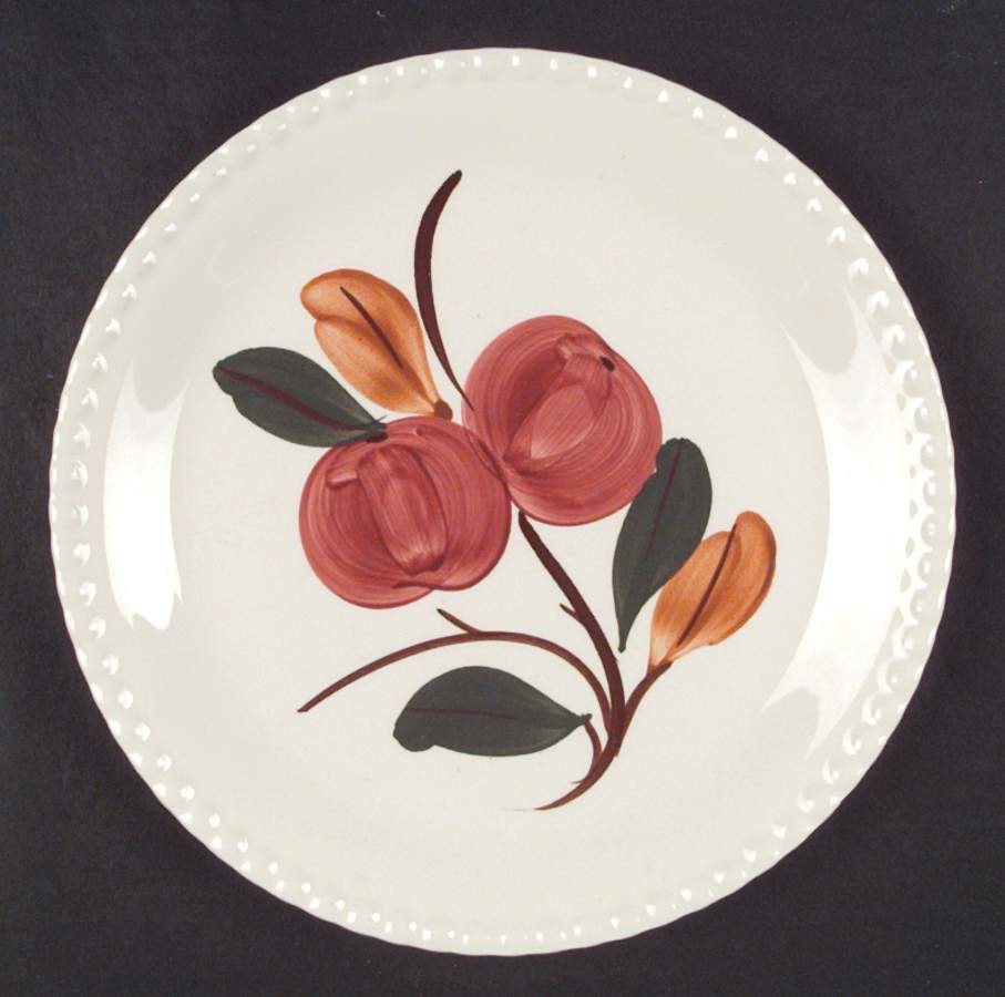 Delicious Luncheon Plate by Blue Ridge Southern Pottery-1