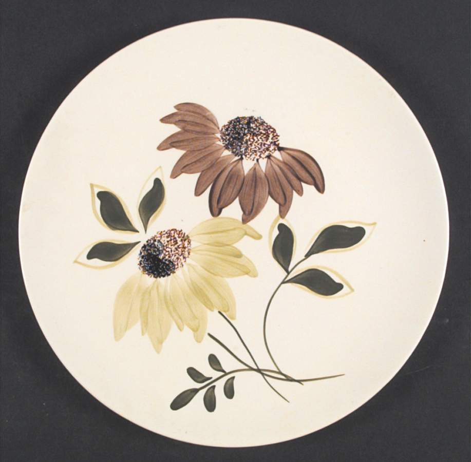 Greensville Dinner Plate by Blue Ridge Southern Pottery-1