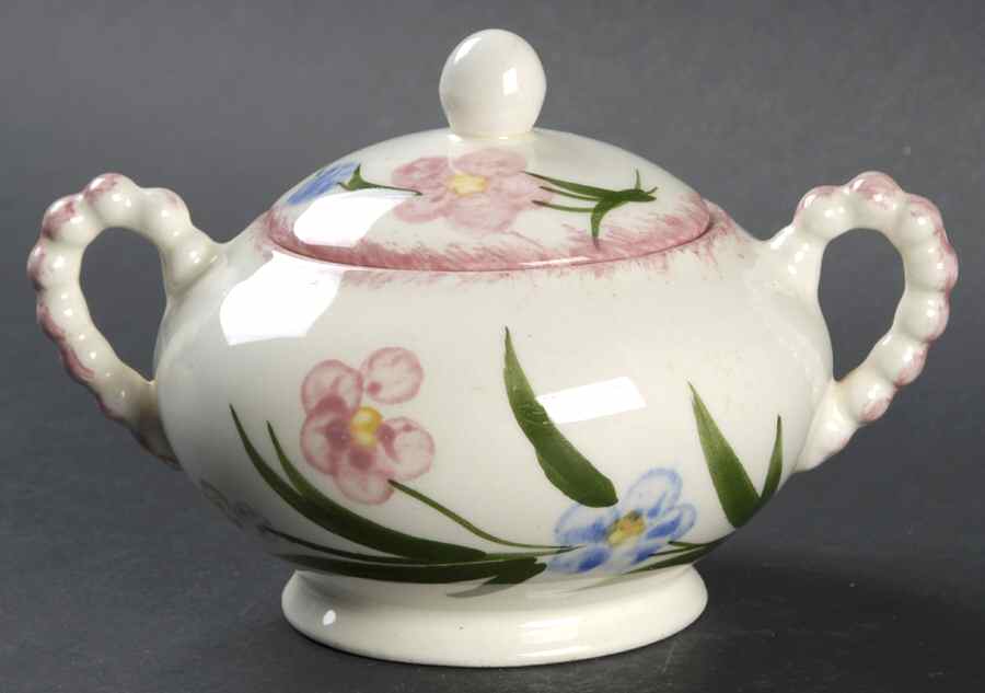 Highland Posy Sugar Bowl & Lid by Blue Ridge Southern Pottery-1