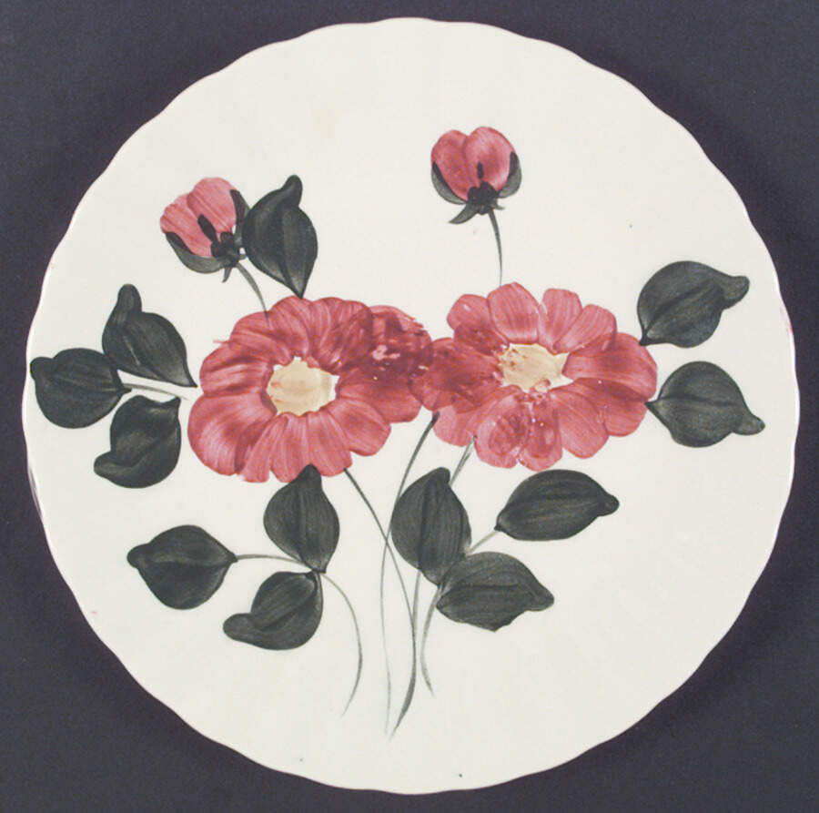 Mirror Image Dinner Plate by Blue Ridge Southern Pottery-1