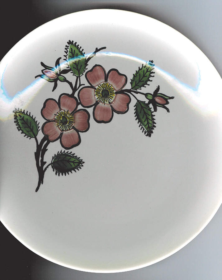 Mountain Sweetbriar Dinner Plate by Blue Ridge Southern Pottery-1