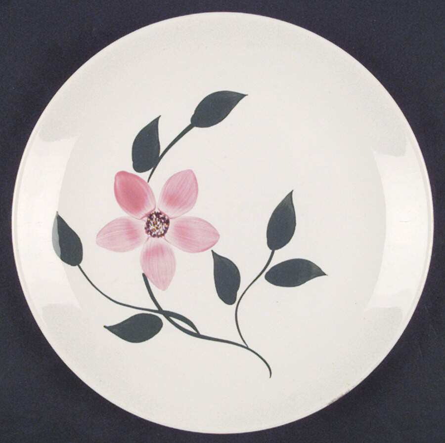 Peggy Dinner Plate by Blue Ridge Southern Pottery-1