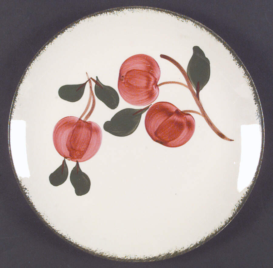 Pippin Dinner Plate by Blue Ridge Southern Pottery-1