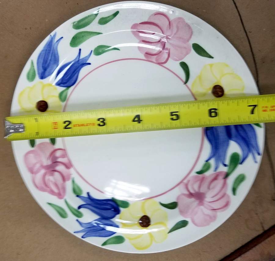 Primrose Path Salad Plate by Blue Ridge Southern Pottery-1