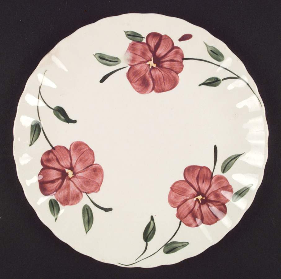Red Hill Dinner Plate by Blue Ridge Southern Pottery-1