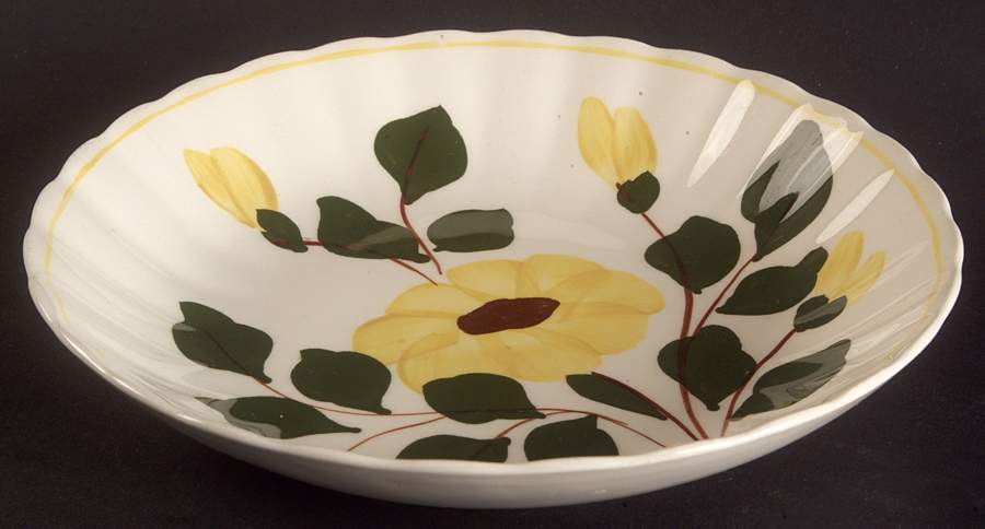 Ridge Daisy Coupe Soup Bowl by Blue Ridge Southern Pottery-1