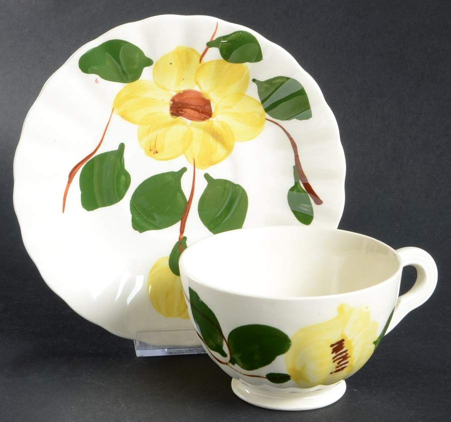 Rock Rose Yellow Footed Cup & Saucer Set by Blue Ridge Southern Pottery-1