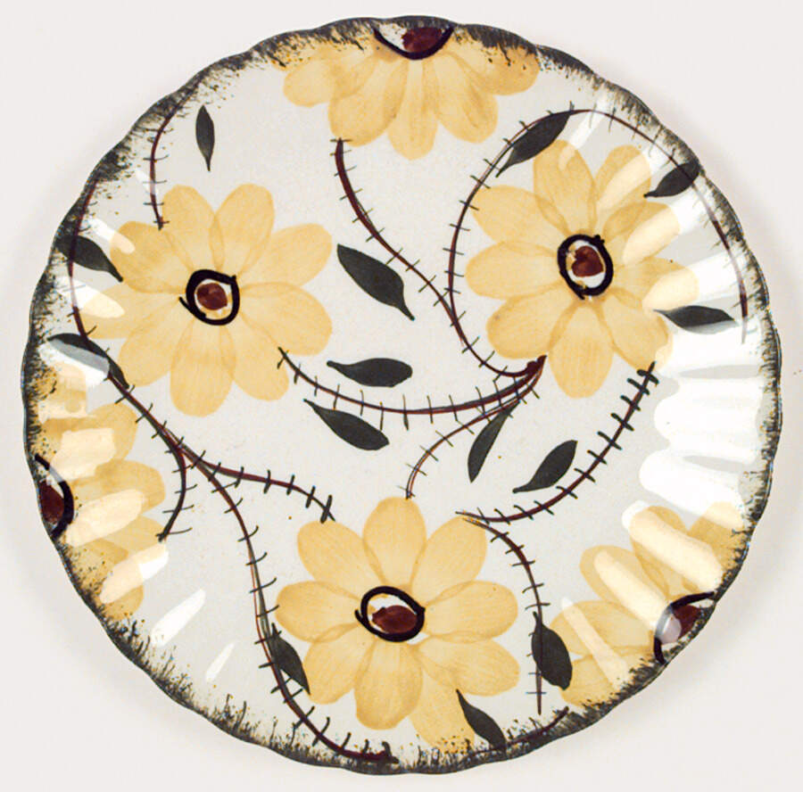 Rugosa Dinner Plate by Blue Ridge Southern Pottery-1