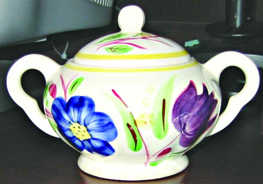 Sarepta Sugar Bowl & Lid by Blue Ridge Southern Pottery-1
