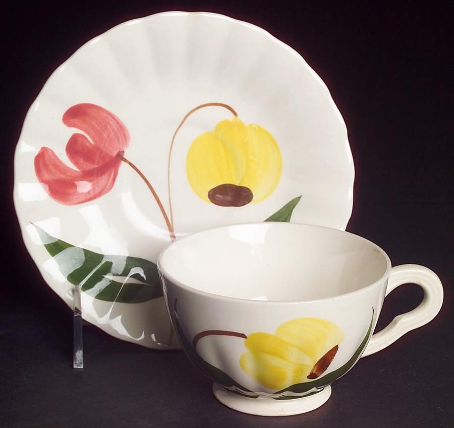 Shoo Fly Footed Cup & Saucer Set by Blue Ridge Southern Pottery-1