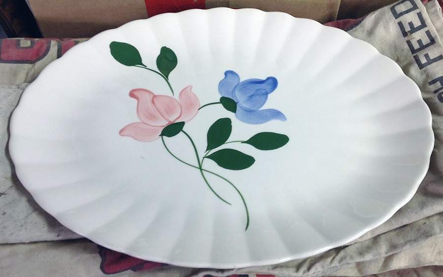 Snappy Dinner Plate by Blue Ridge Southern Pottery-1