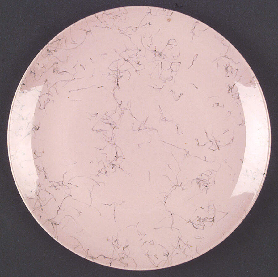 Spiderweb Pink Dinner Plate by Blue Ridge Southern Pottery-1