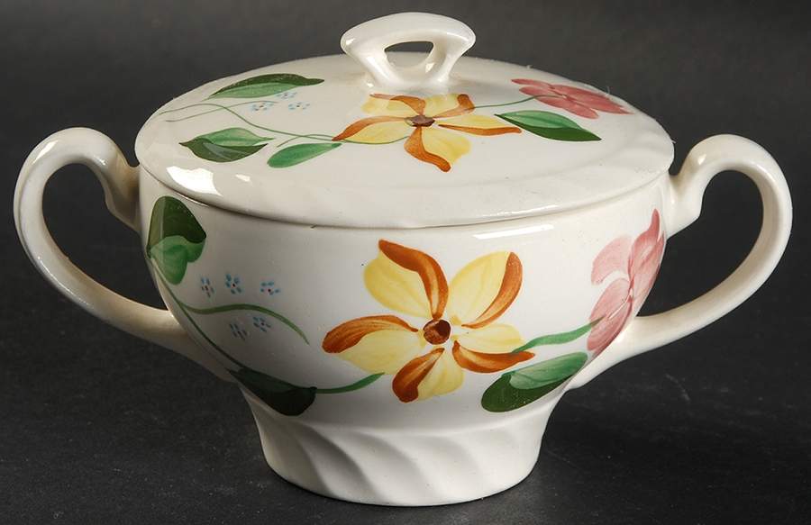 Spring Morning Sugar Bowl & Lid by Blue Ridge Southern Pottery-1