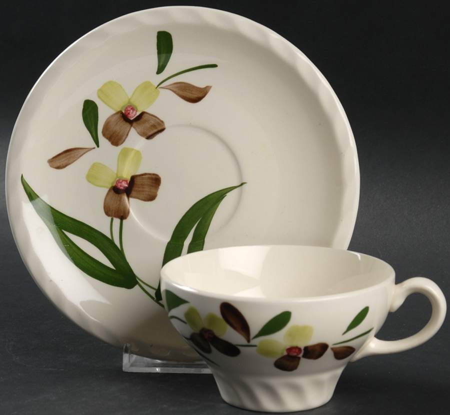 Spray Flat Cup & Saucer Set by Blue Ridge Southern Pottery-1