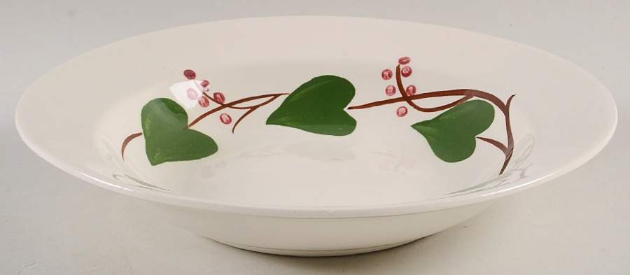 Stanhome Ivy Large Rim Soup Bowl by Blue Ridge Southern Pottery-1