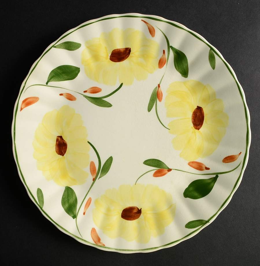 Sunbright Dinner Plate by Blue Ridge Southern Pottery-1