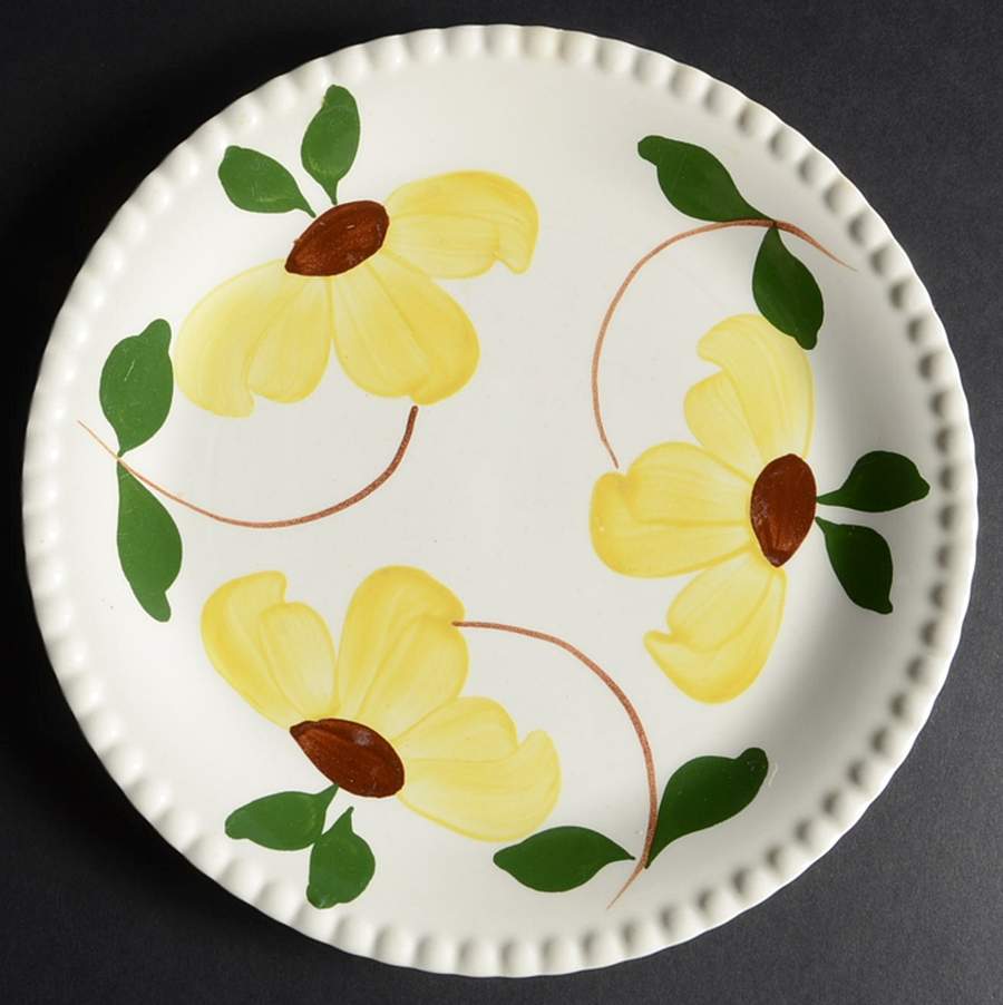 Sundance Luncheon Plate by Blue Ridge Southern Pottery-1