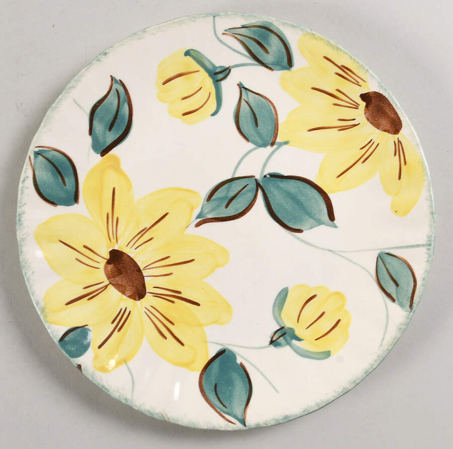 Sunfire Salad Plate by Blue Ridge Southern Pottery-1