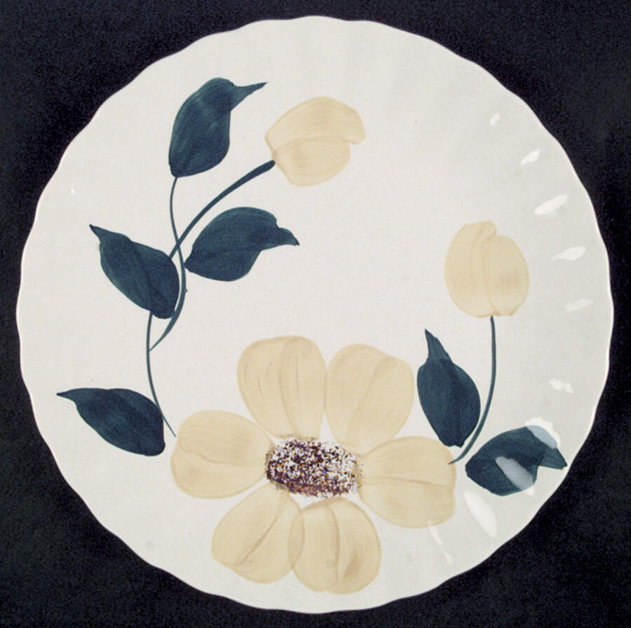 Sunny Dinner Plate by Blue Ridge Southern Pottery-1
