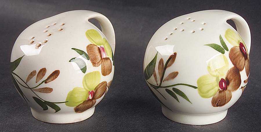 Sunny Spray Salt & Pepper Set by Blue Ridge Southern Pottery-1