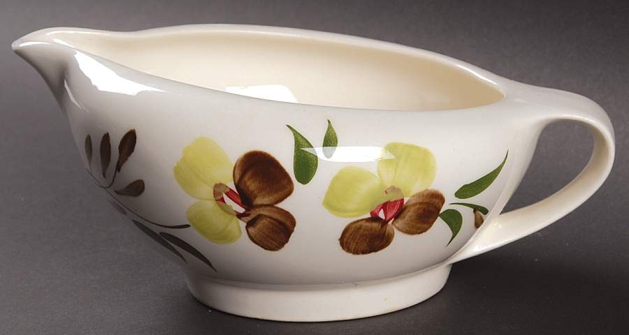 Sunny Spray Gravy Boat by Blue Ridge Southern Pottery-1