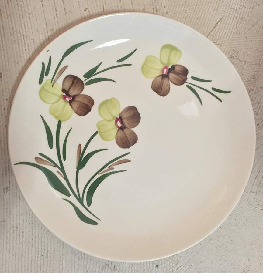 Sunny Spray Dessert/Pie Plate by Blue Ridge Southern Pottery-1