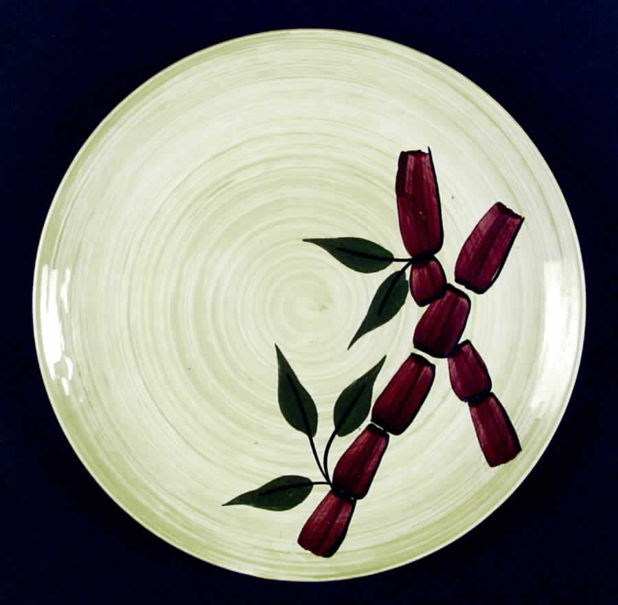 Tropical Dinner Plate by Blue Ridge Southern Pottery-1