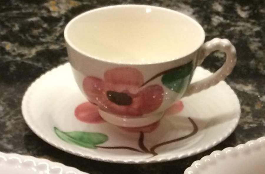 Twin Flowers Footed Cup & Saucer Set by Blue Ridge Southern Pottery-1