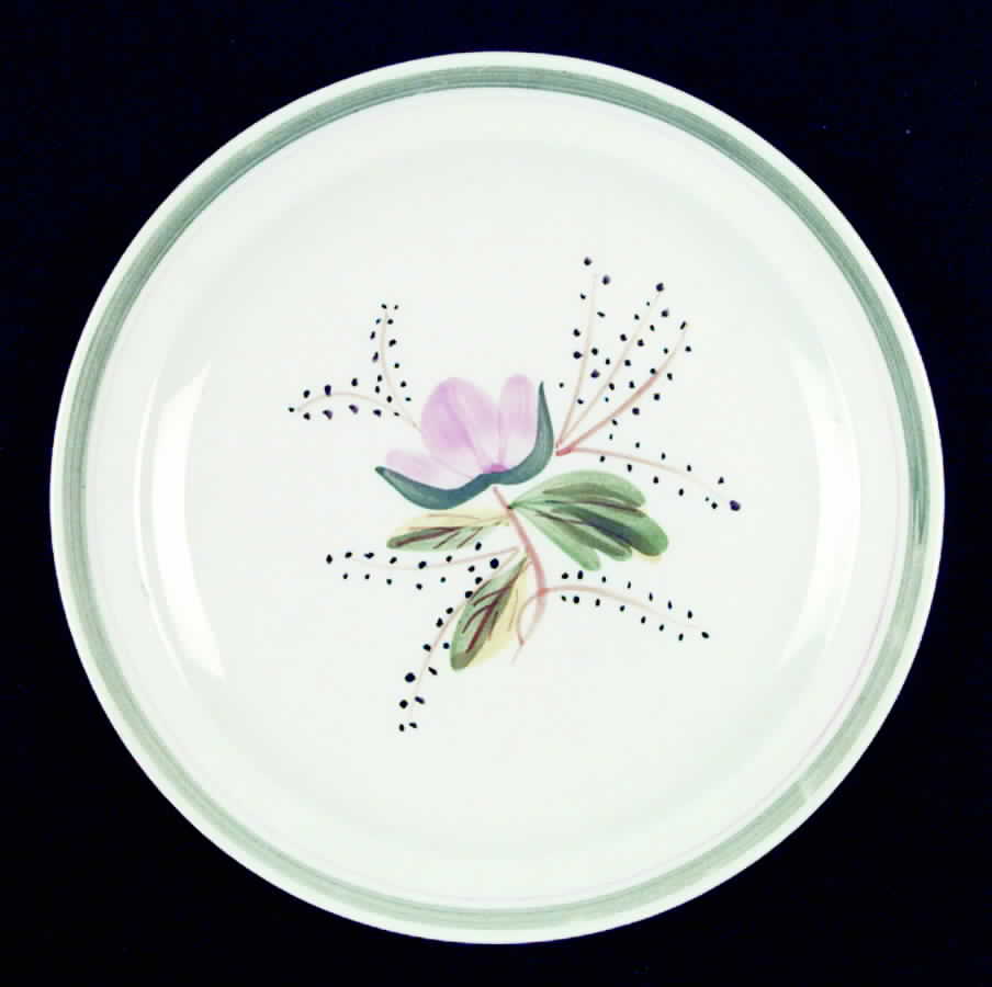 Waterlily Dinner Plate by Blue Ridge Southern Pottery-1