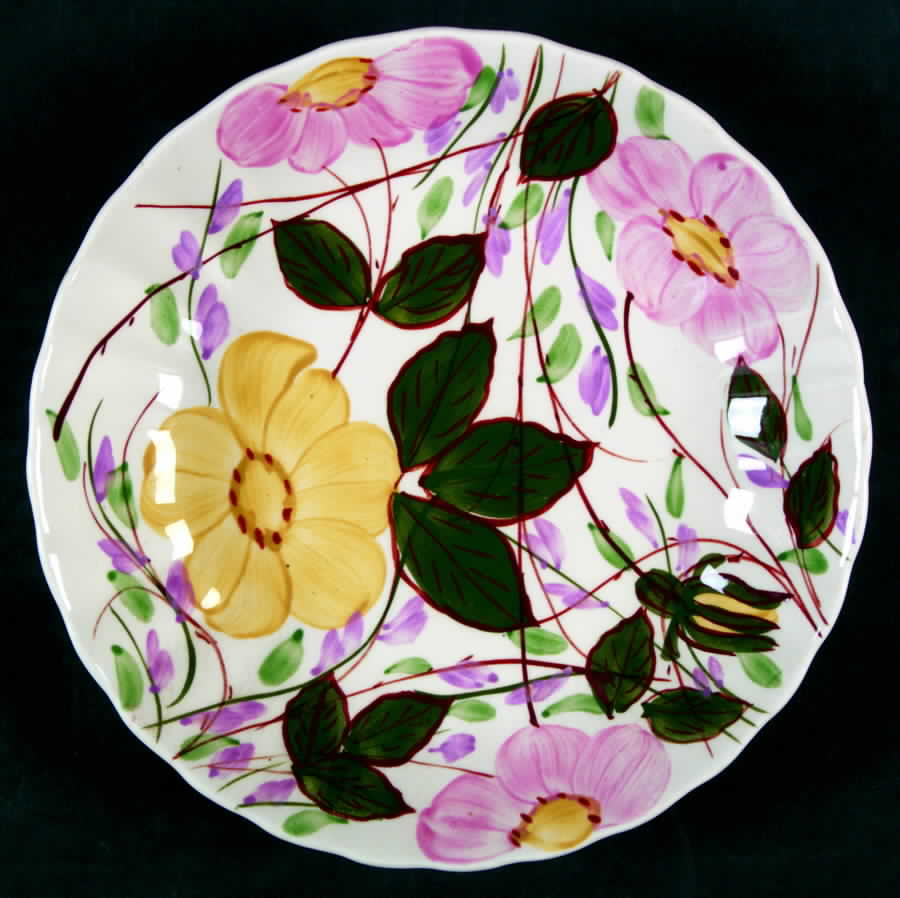 Wildwood Flower Salad Plate by Blue Ridge Southern Pottery-1