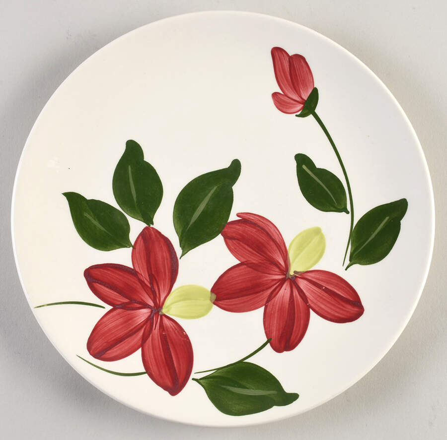 Winnie Salad Plate by Blue Ridge Southern Pottery-1