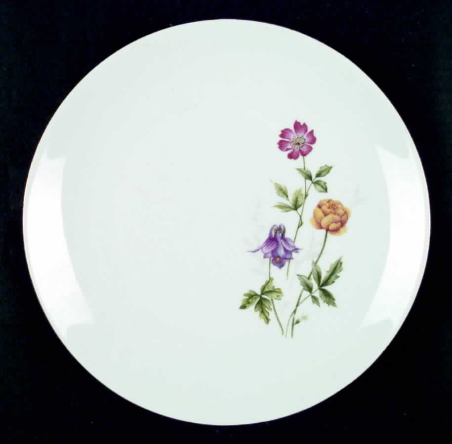 BTH18 Dinner Plate by Bareuther & Co-1