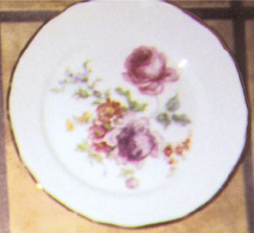 BTH33 Dinner Plate by Bareuther & Co-1