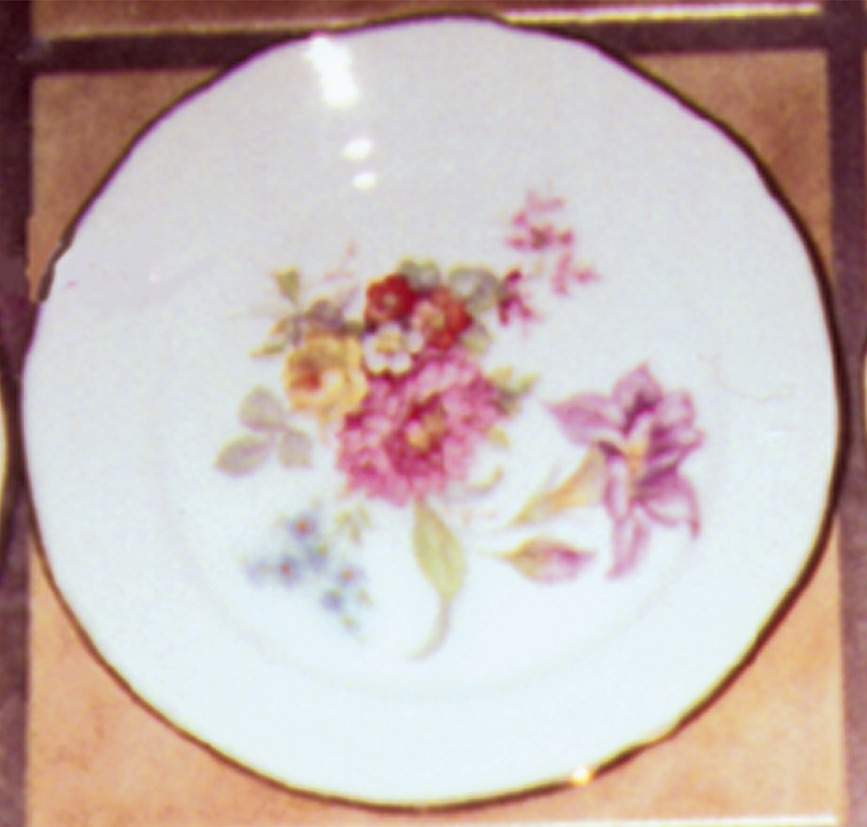 BTH33 Dinner Plate by Bareuther & Co-1