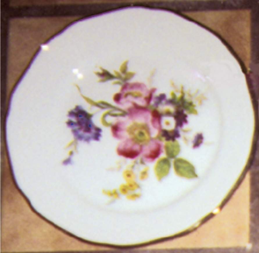BTH33 Dinner Plate by Bareuther & Co-1
