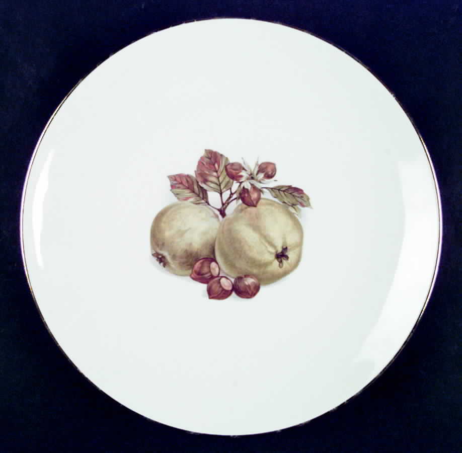BTH4 (1-16" Gold Trim) Large Dinner Plate by Bareuther & Co-1