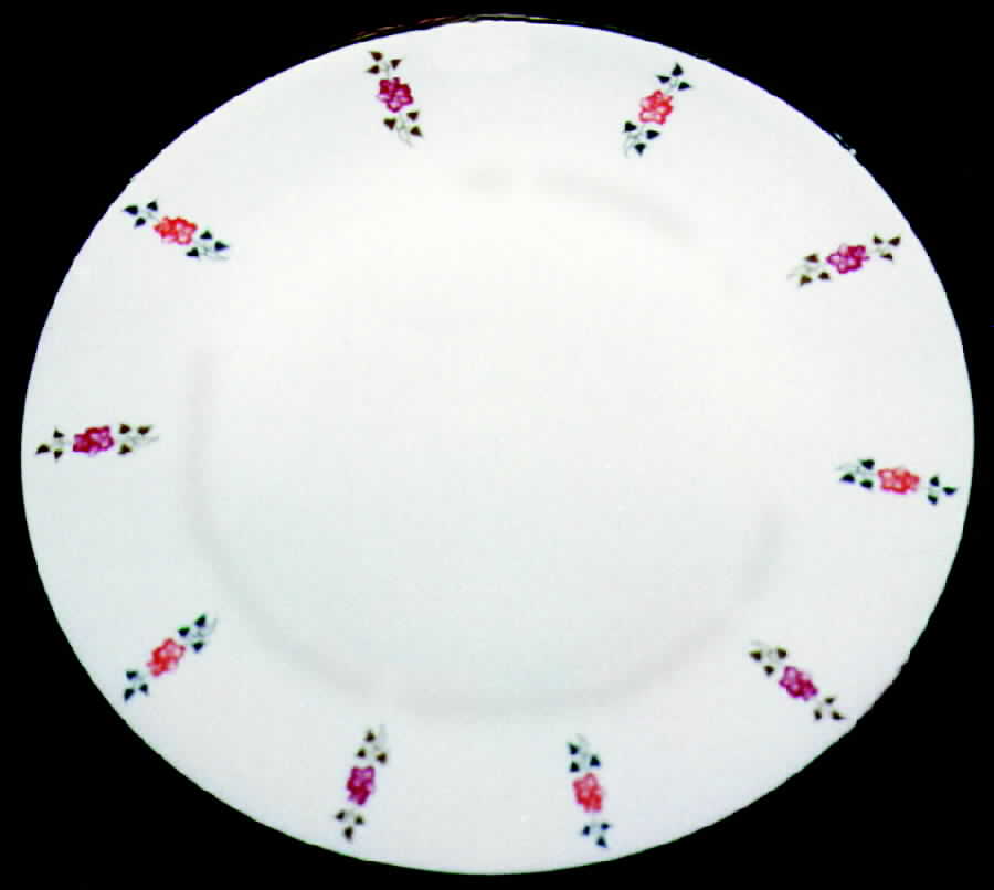 BTH52 Dinner Plate by Bareuther & Co-1