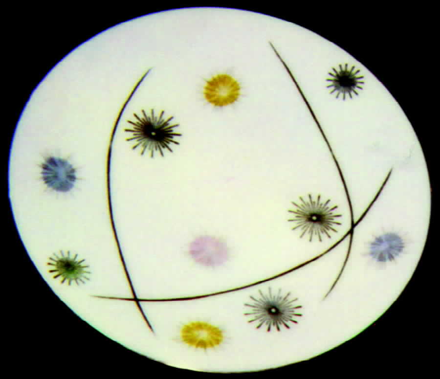 BTH56 Dinner Plate by Bareuther & Co-1
