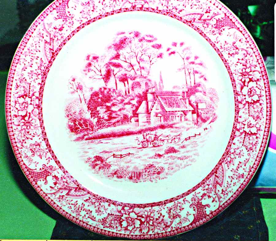 Fairview Pink Dinner Plate by Buffalo Pottery-1