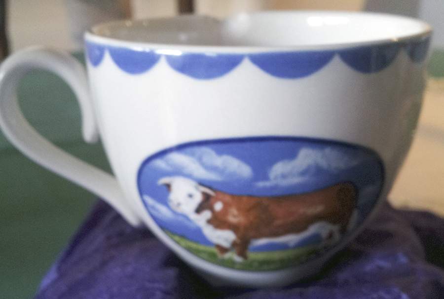 Animal Farm Flat Cup by Burgess & Leigh-1