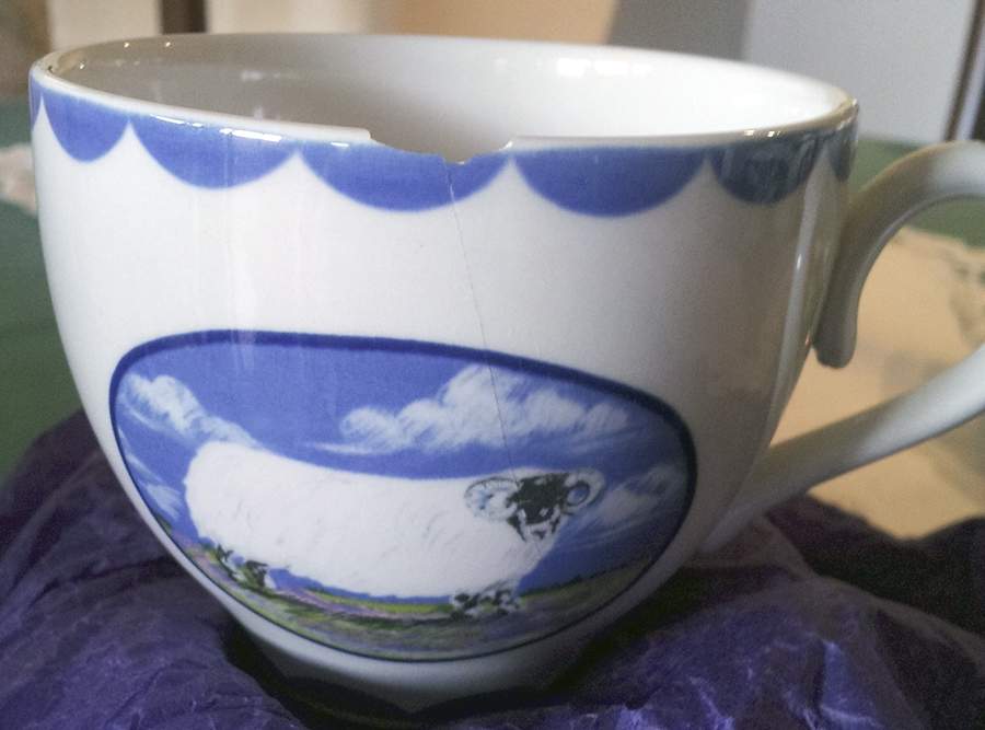 Animal Farm Flat Cup by Burgess & Leigh-1